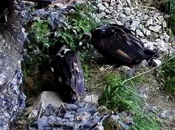 Screenshot_20250617-120610_Chrome