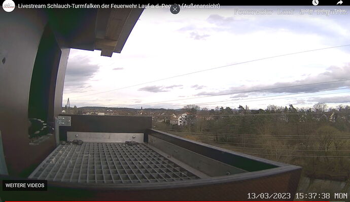 Snap_2023.03.13_16h10m54s_036_