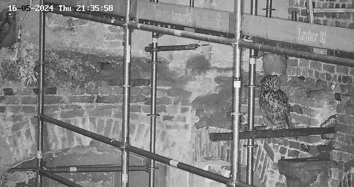 Screenshot_20240517_070048_YouTube