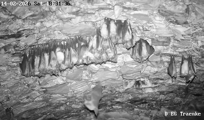 2026-02-14_1 ab 18.00 Langohr 2