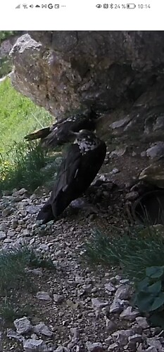 Screenshot_20230709_101409_com.android.chrome