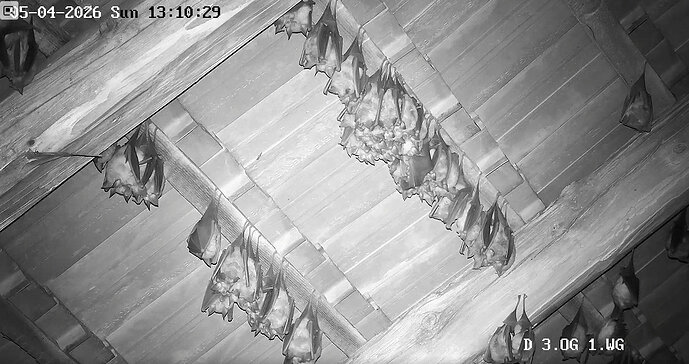 2026-04-05_1 Hufi-Suche am Ostersonntag