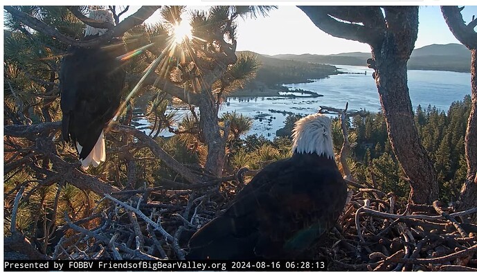 Screenshot 2024-08-16 194557