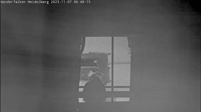 Snap_2023.11.07_06h49m07s_002_
