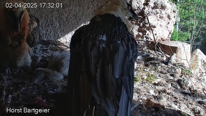 SnapShot-20250402_173306