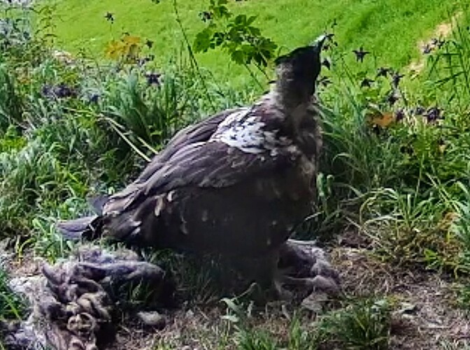 Screenshot_2025-06-26-14-34-34-276_com.android.chrome