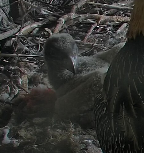 Screenshot_20240328-123313~2