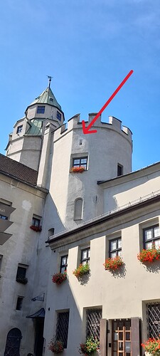 Besuch bei den Turmfalken_20240706_102739 (3)
