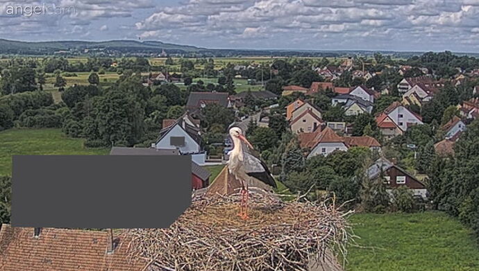 Snap_2024.07.17_11h35m24s_002_