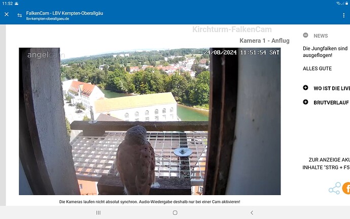 Screenshot_20240824-115217_Chrome