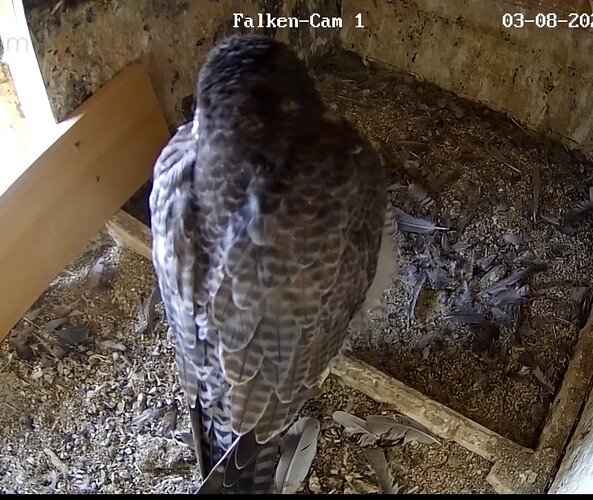 Screenshot_20230803-100138~2