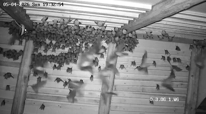 2026-04-05_3 Hufis Abflug 1