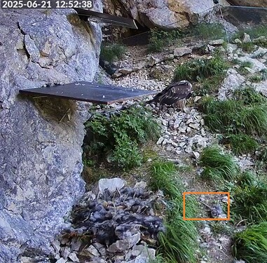 Snap_2025.06.21_12h52m59s_006_