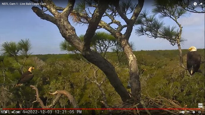 NEFL_221203_new_mate__Gabby