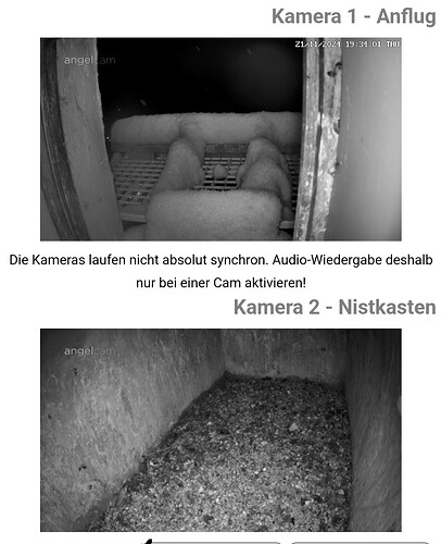 Screenshot_20241121_193420_Chrome