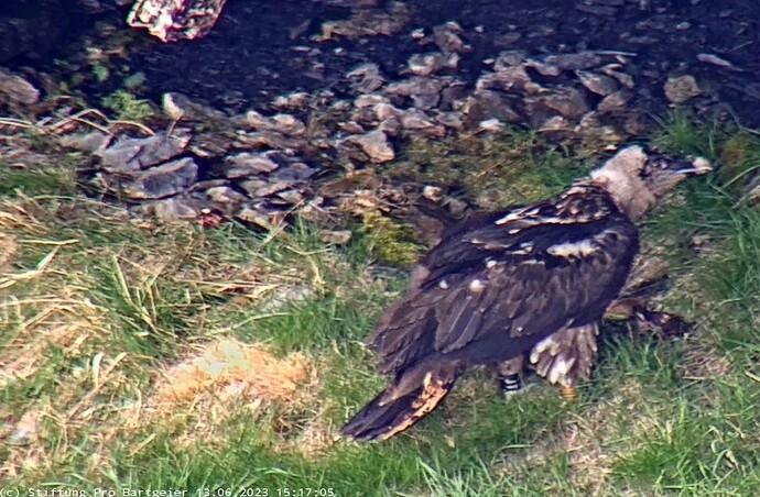 Screenshot_20230613_151716_Samsung Internet