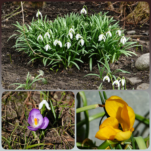 Früh01