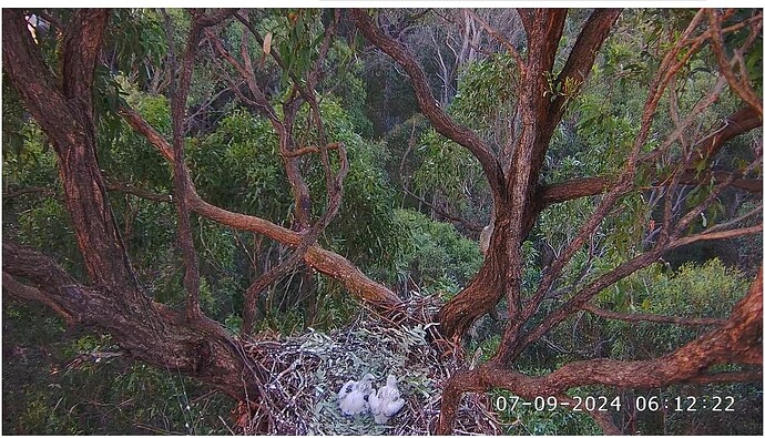 Screenshot 2024-09-07 001518