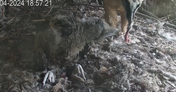 Essensübergabe 30.04.24