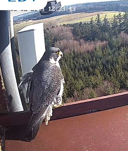 Screenshot_20240203_123240_Samsung Internet