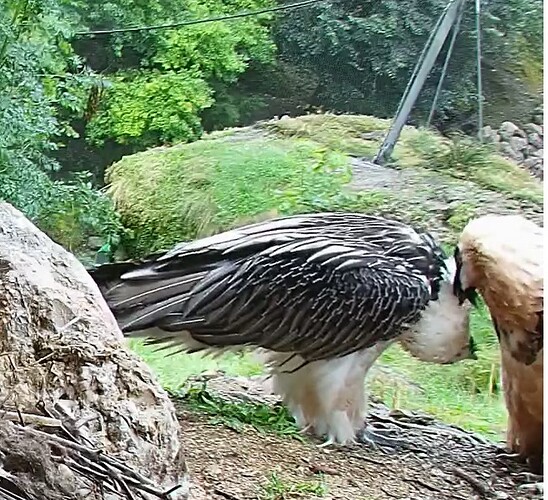 Zärtlichkeiten 21.07.25