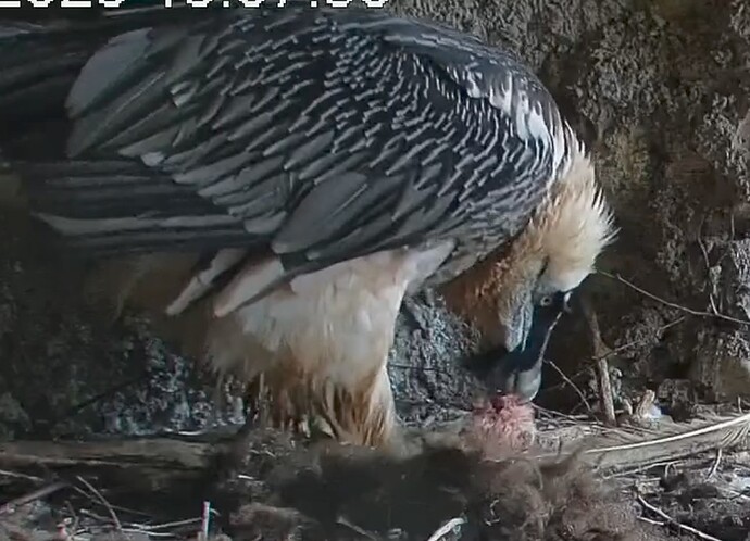 Screenshot_20251219-150839~2