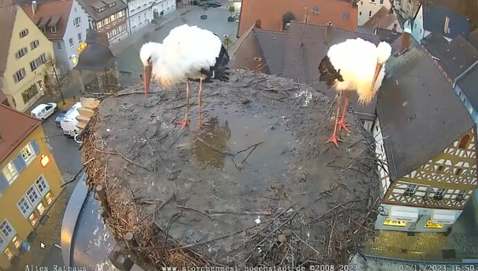 Screenshot_2023-11-02-17-59-03-015_com.google.android.youtube