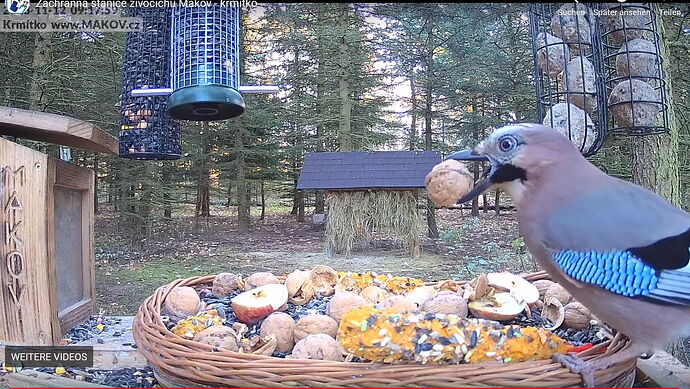 Snap_2023.11.12_09h19m50s_002_