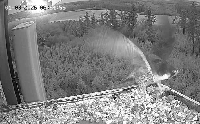 Screenshot_20260301_065427_Samsung Internet