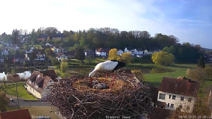frühstück