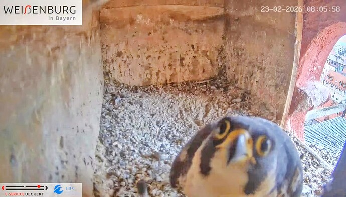 Screenshot_2026-02-23-08-16-54-226_com.google.android.youtube~2