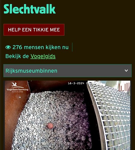 Screenshot_20240318_085322_Samsung Internet