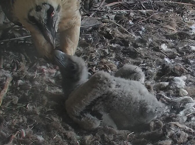 Essenszeit 1 31.03.24