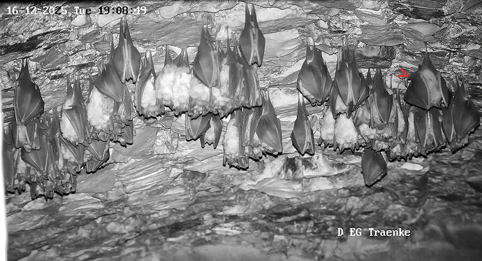 Vollbildaufzeichnung 16.12.2025 190902