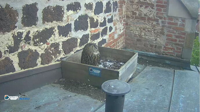 Snap_2023.05.11_16h06m06s_010_