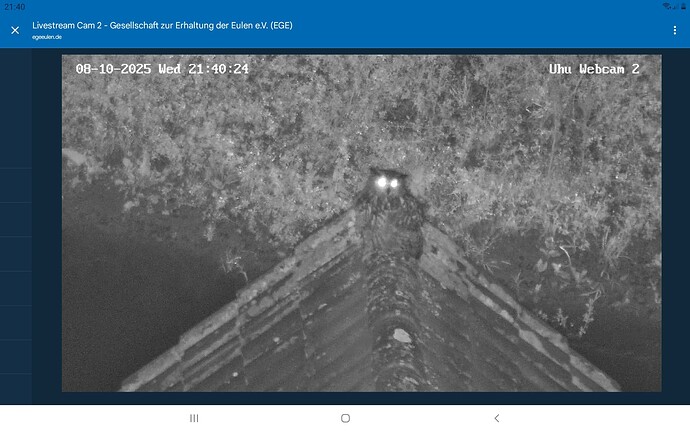 Screenshot_20251008-214058_Chrome