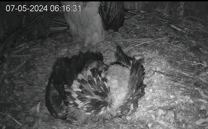 Screenshot_2024-05-07-06-17-40-374_com.android.chrome