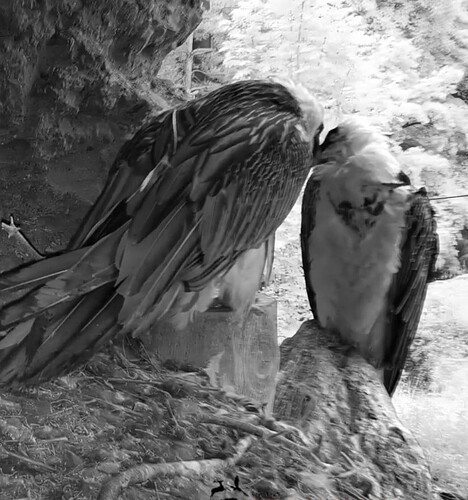 Screenshot_20250527-070906_Chrome