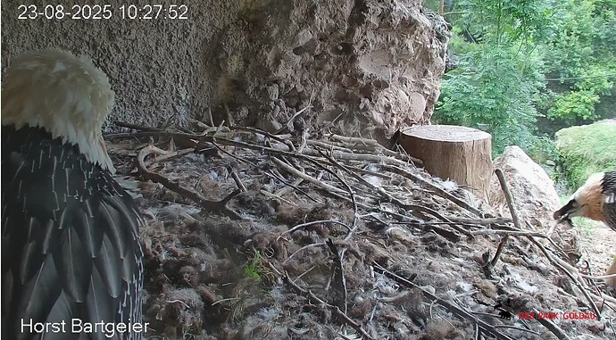 Screenshot_20250823-102858~2