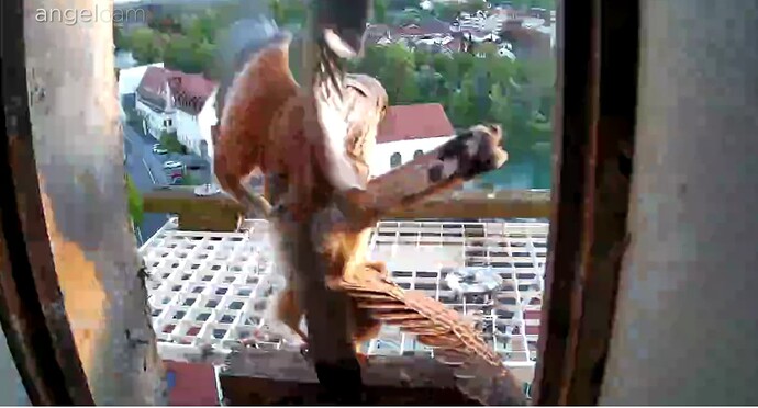 Screenshot_20240414-064300~2