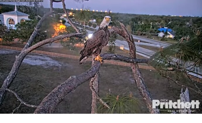 swfl_230330_Juvi_Visitor