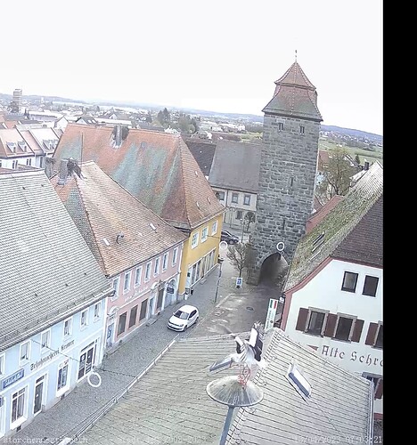 Bild