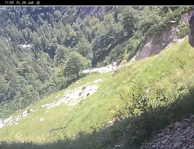 Screenshot_20230728-113956_Chrome