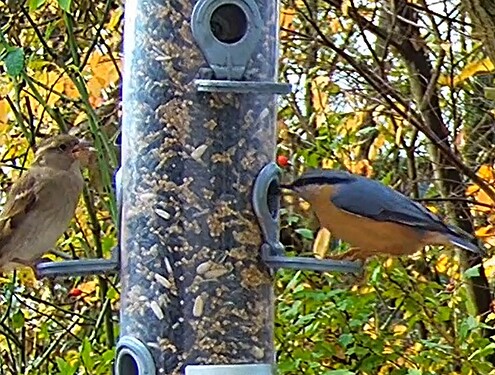 Kleiber u Spatz 10.11.25