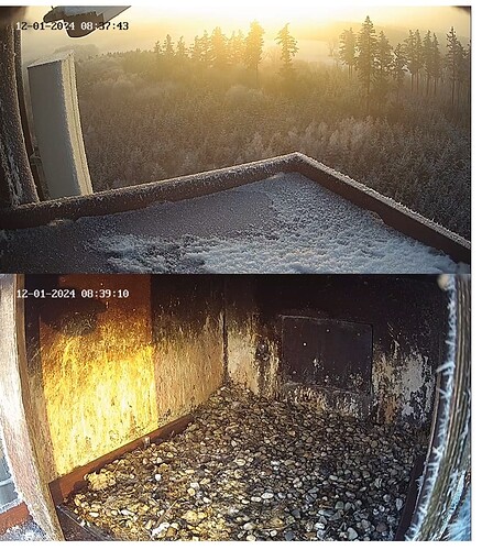 Screenshot_20240112-083645_Chrome