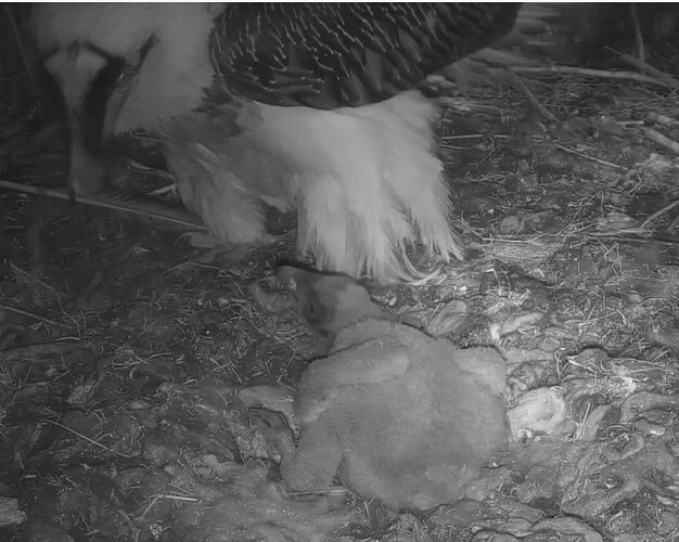 Nach dem Abendessen 20.03.24