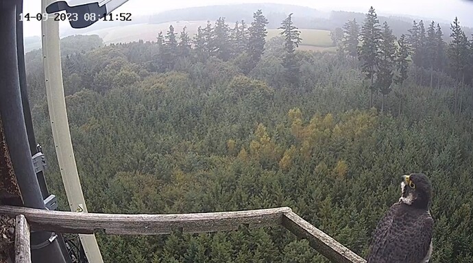 Screenshot_20230914_091134_Chrome