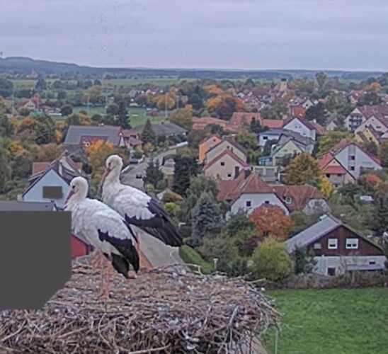 Screenshot (9740)