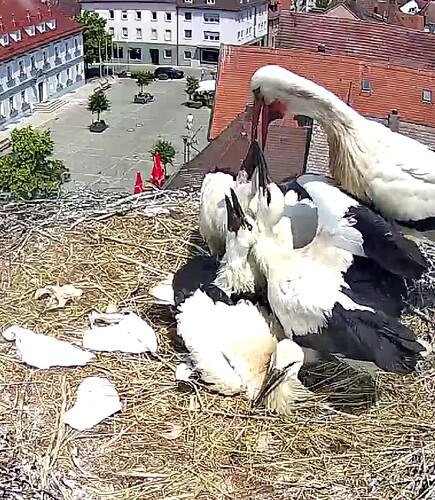 Screenshot_20230618-124804~2