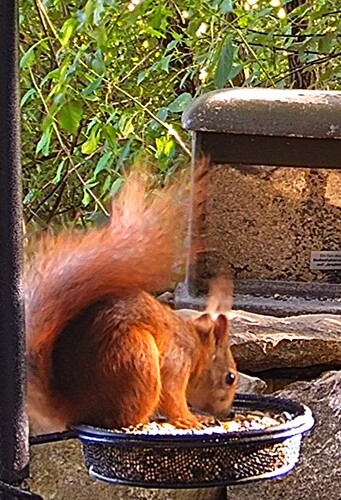 EK am Abend 20.06.24